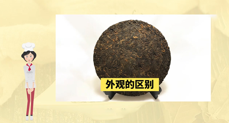 普洱生茶和熟茶的区别是什么